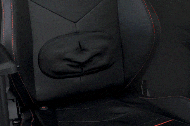 Magnetic Lumbar Support
