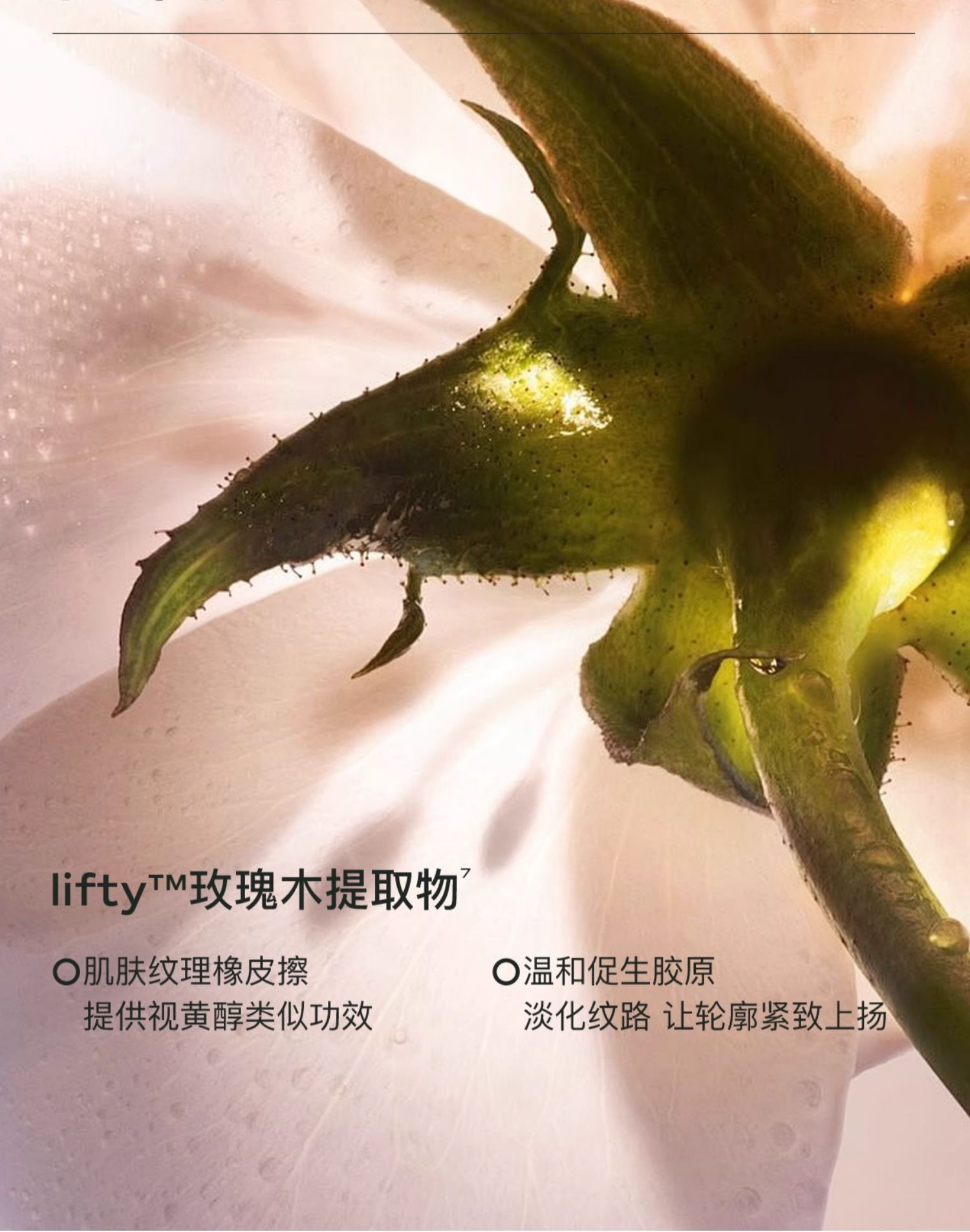 weee pdp description image 848