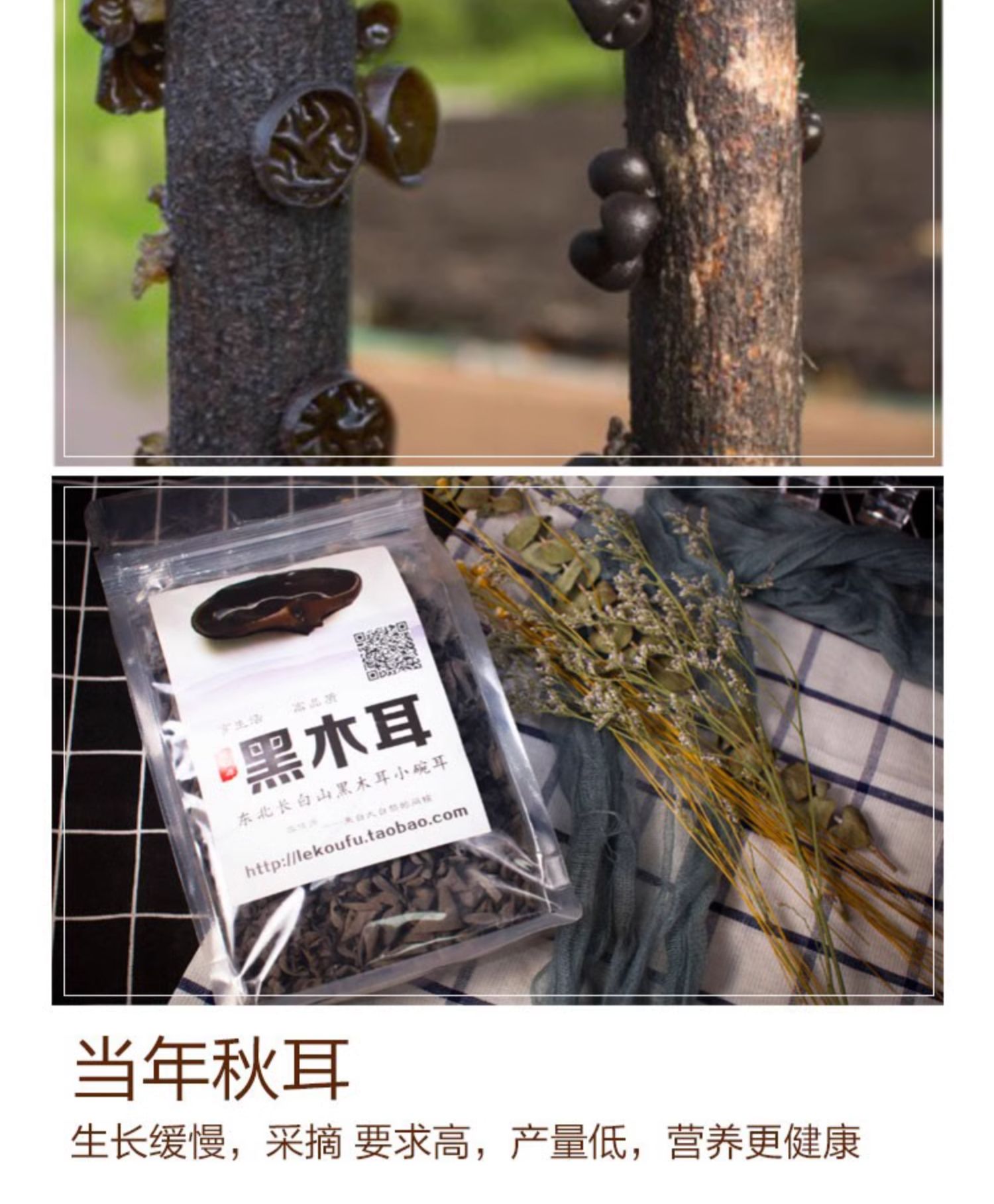 Northeast specialties black fungus dry autumn dried fungus
