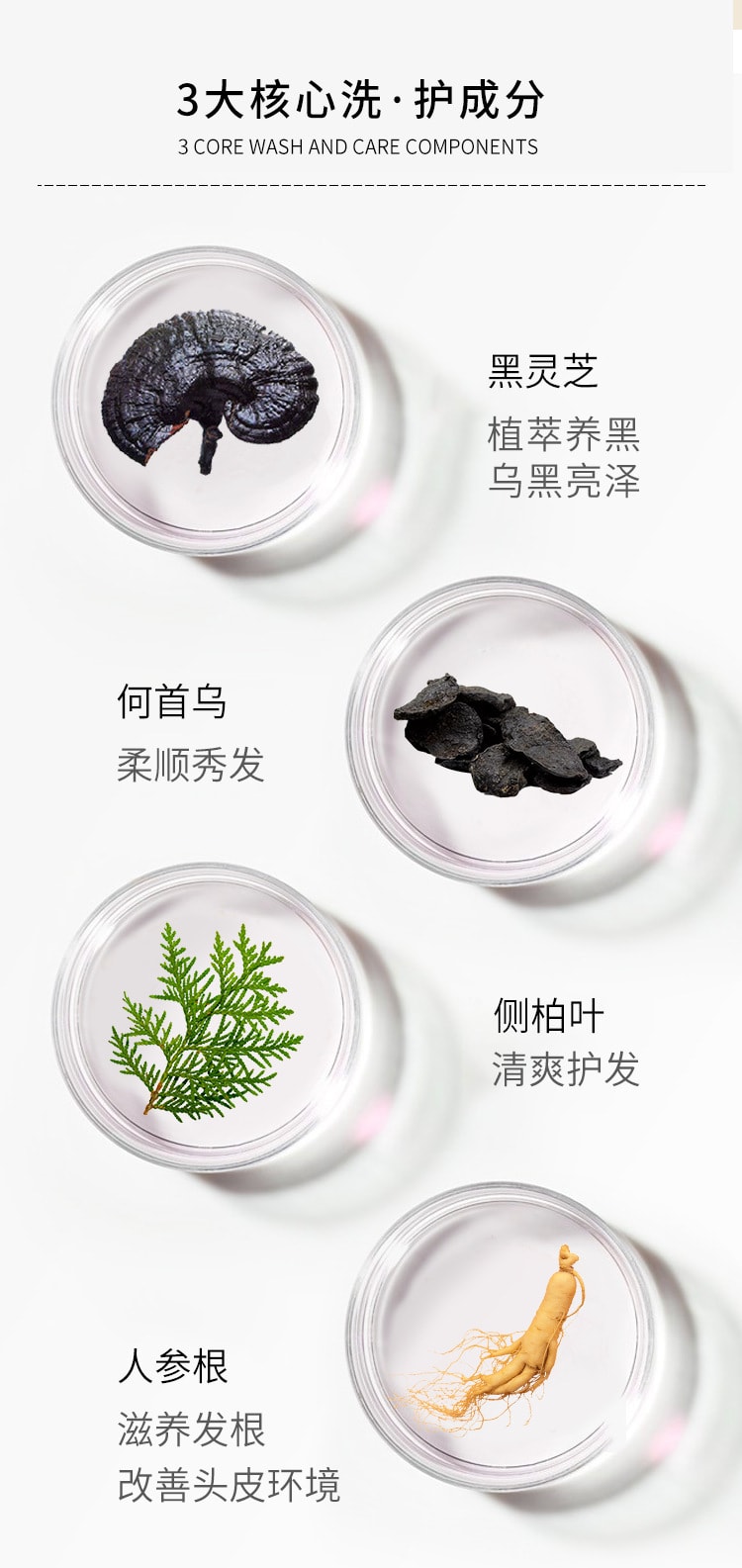 中国 北京同仁堂 灵芝何首乌洗发水 纯植物萃取润养黑发洗发液去油去屑 300ml 一瓶装