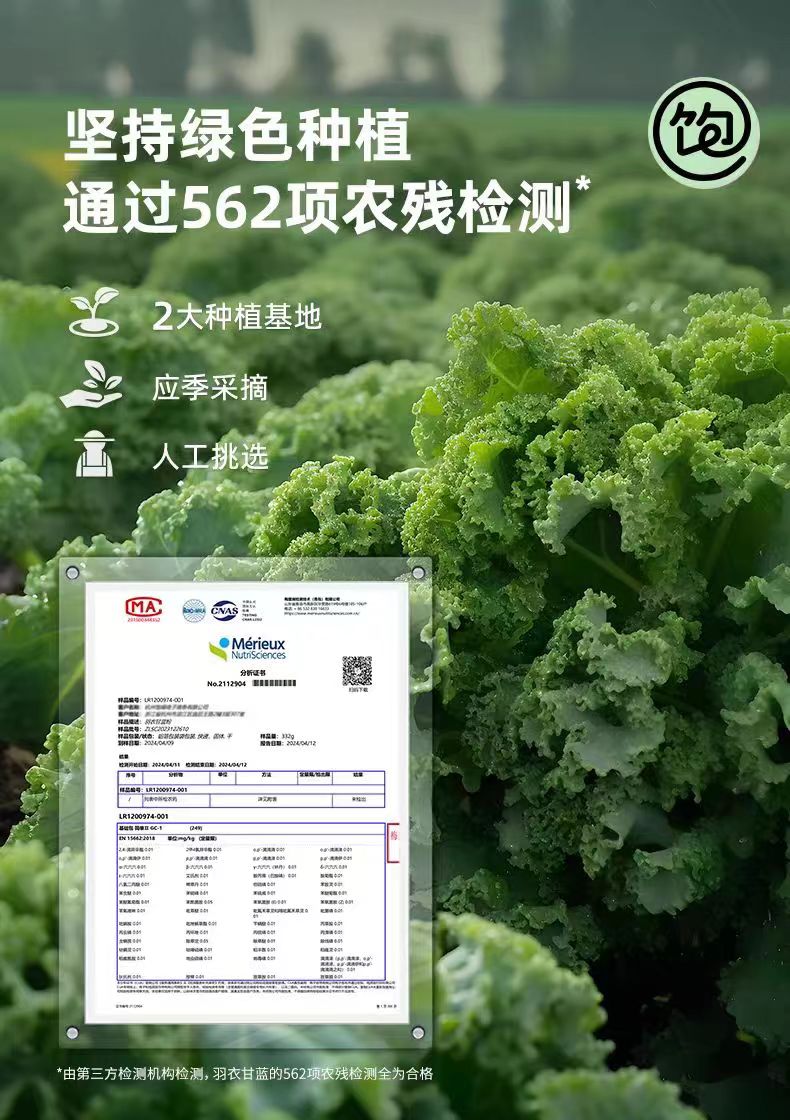 vlife羽衣甘蓝全麦饼干无蔗糖添加粗粮代餐饱腹- Weee!, image size:790x1120