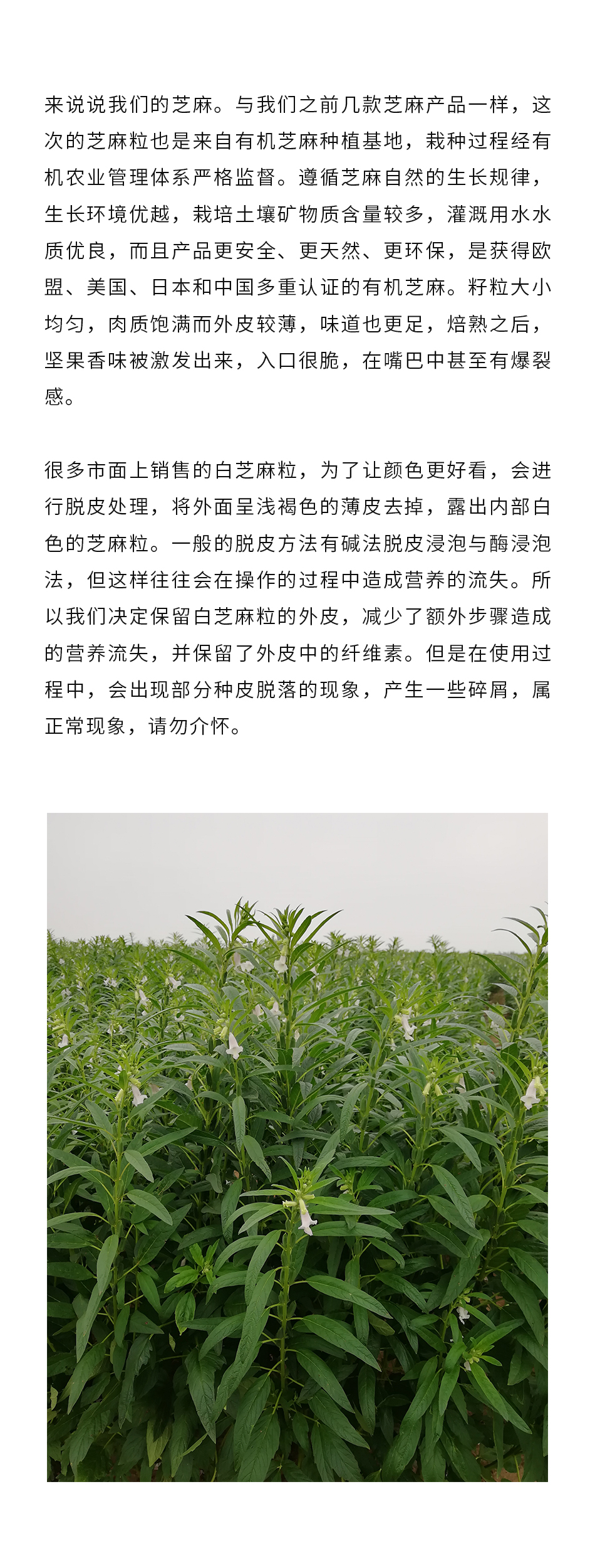 【有機黑芝麻】100克 整粒煎焙 烘焙麪包料理調料