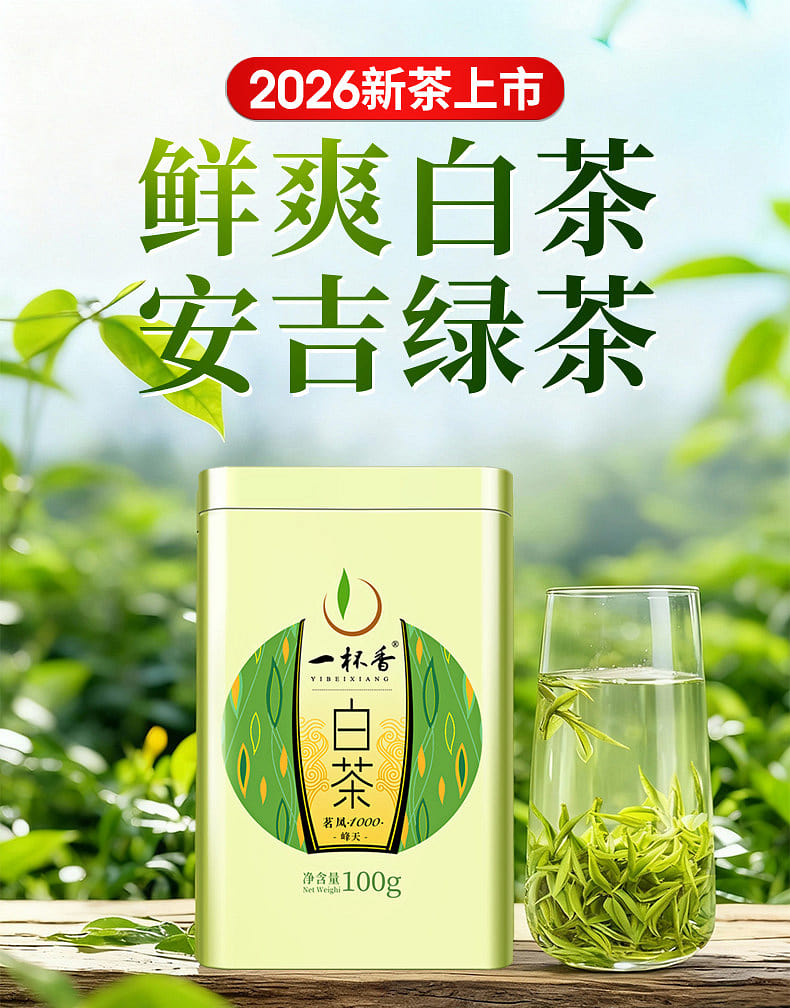 一杯香茶白茶明前安吉绿茶100g 1 份- Weee!