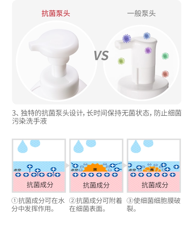 【日本直邮】 LION狮王 泡沫洗手液 儿童泡沫型除菌抗菌家用 250ml