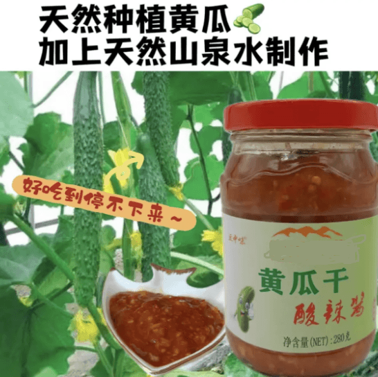 蘑菇风暴 黄瓜干酸辣酱 280克 美国