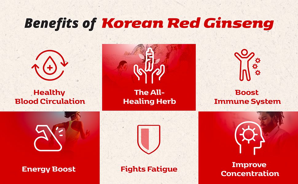 Extract Korean Red Ginseng - CheongKwanJang