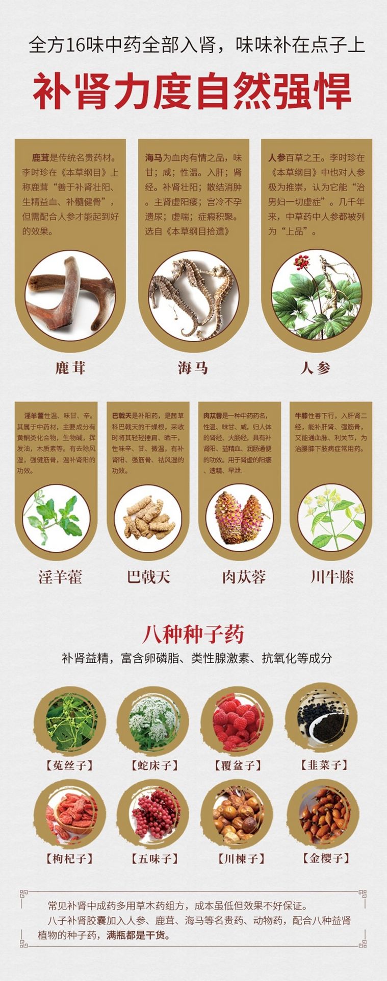 中国以岭 八子补肾胶囊100粒 益气补肾、补肾精、抗衰、补充精力、体倦乏力、脱发、肾虚、早泄、鹿茸 海马 人参 淫羊藿 肉苁蓉100粒/瓶