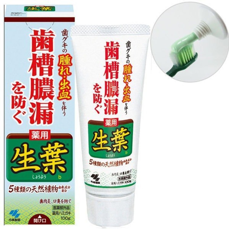 商品详情 - 【日本直邮】日本KOBAYASHI 小林制药 生叶天然植物牙膏 有效防止牙龈出血 肿痛 绿色装 100g - image2