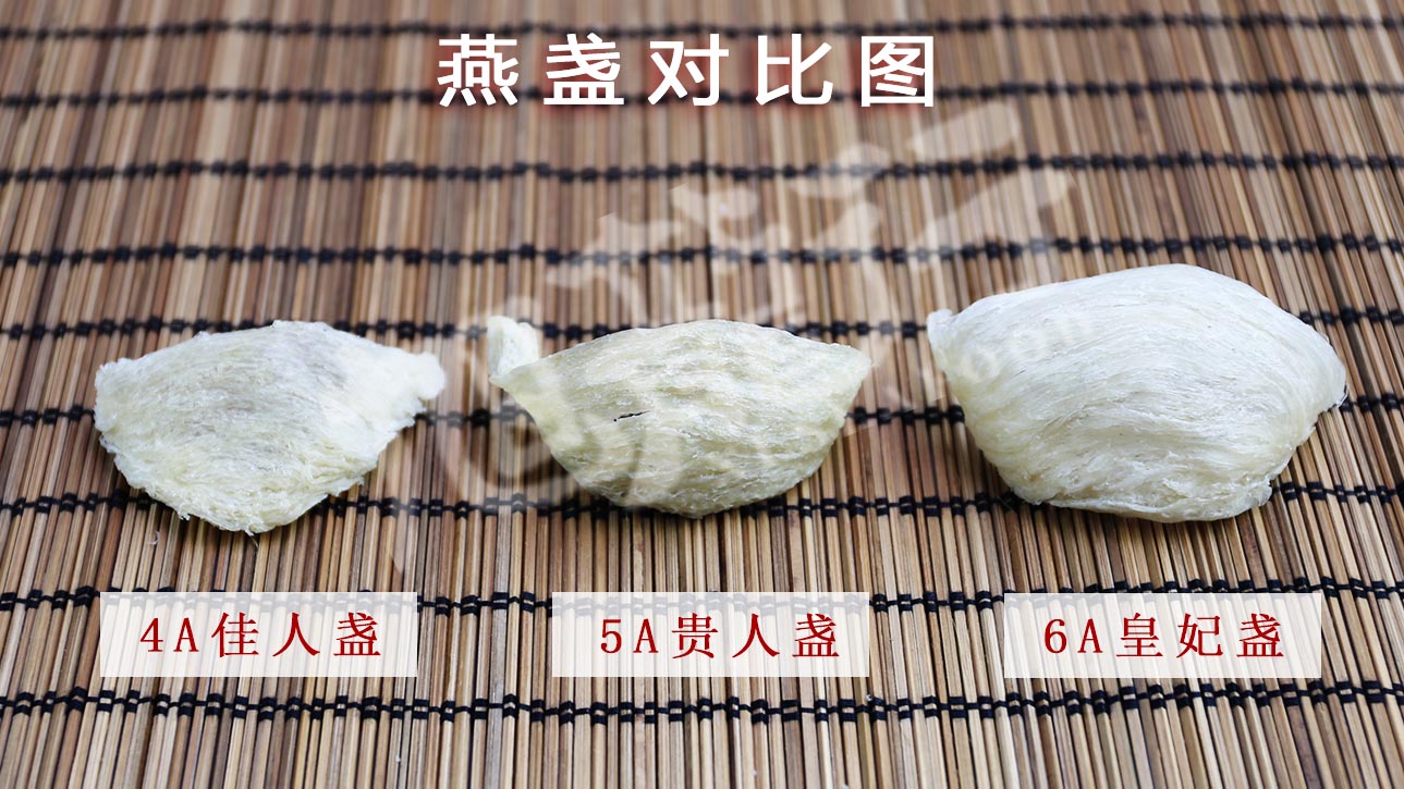 燕窝燕盏对比图