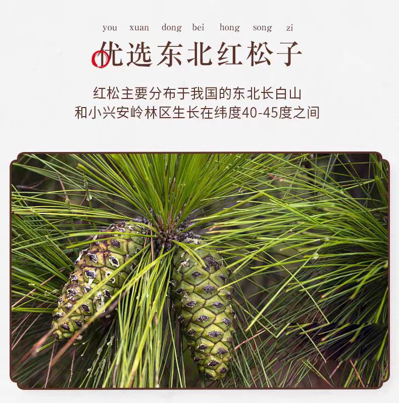 【姚生记】开口松子 东北红松子 手剥松子罐装坚果零食 188g*1罐 - Weee!
