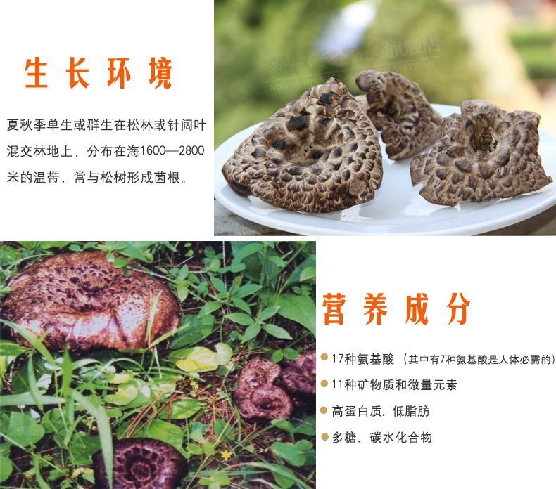 雲南美味山珍 【野生虎掌菌乾品】 2OZ裝