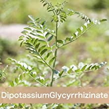 Dipotassium Glycyrrhizinate