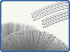 End-rounded bristles brush head not hurt soft tissue in the mouth
