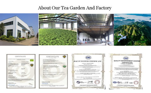 BESTLEAFTEA TEA GARDEN