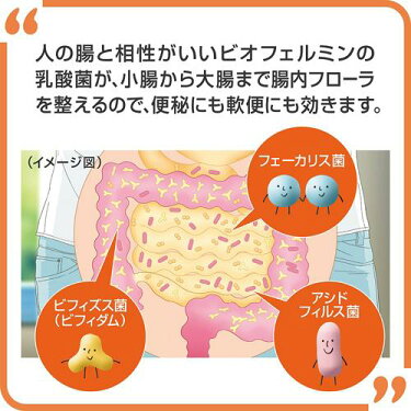 JPGOODBUY_买买提|日本代购_乐天_新ビオフェルミンS錠(540錠)【spts15】【ビオフェルミン】