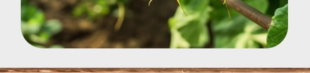 weee pdp description image 1179