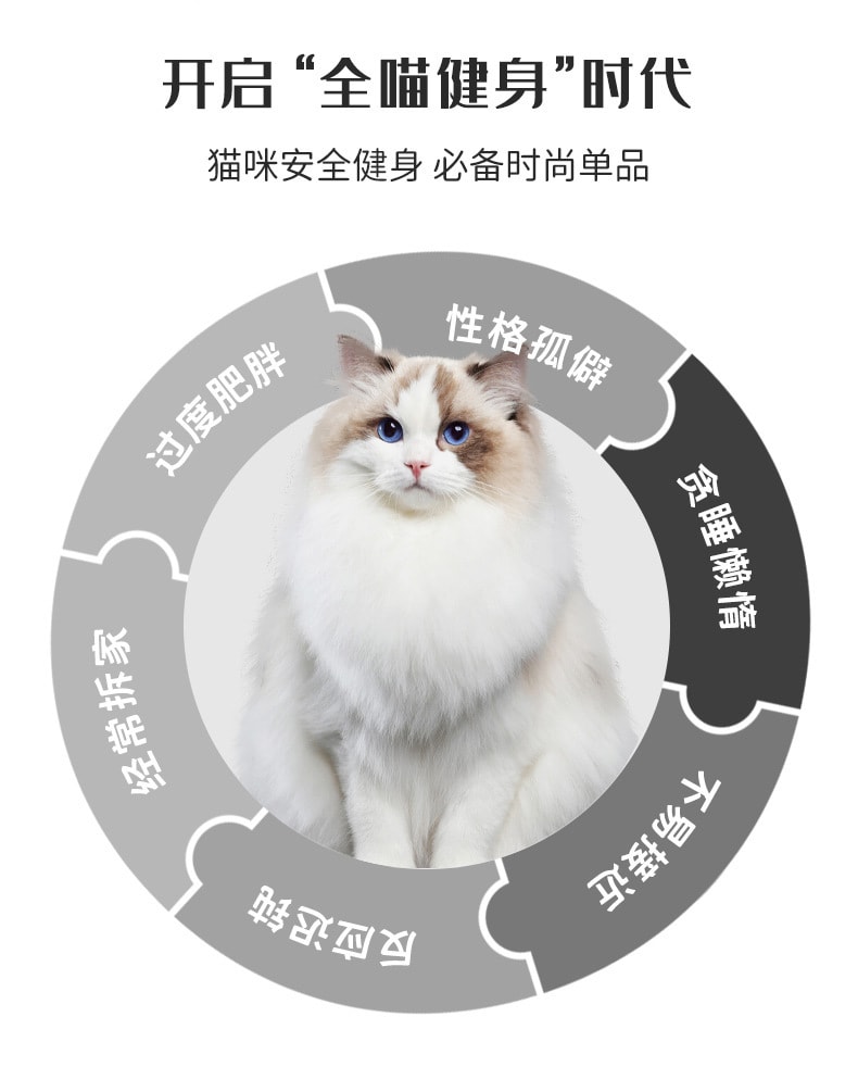 中國 盼四季 寵物犬貓跑步機圈 絨墊健身滾輪 靜音運動跑輪傢俱高纖板 貓爬架玩具 1件