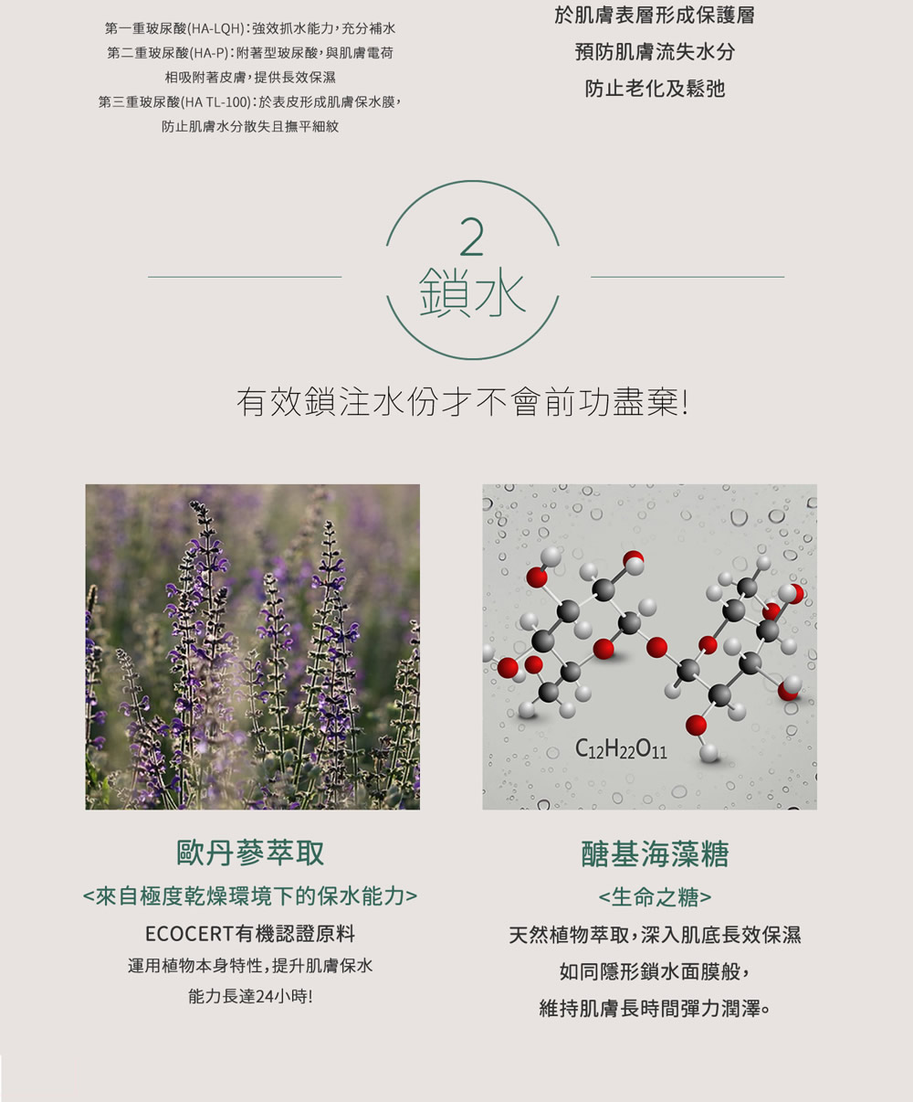第三重玻尿酸HA TL100於表皮形成肌膚保水膜,