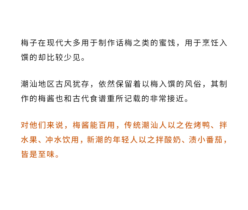 南食召【青梅酱 】酸甜带咸·纯梅熬制 梅子酸梅酱 烧鹅烤鸭叉烧蘸酱  400克