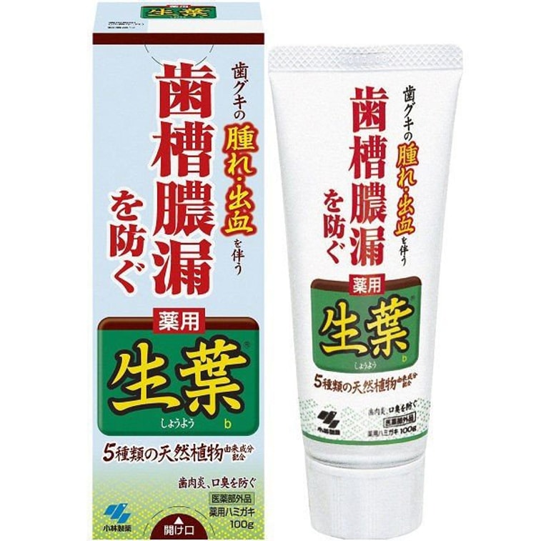 商品详情 - 【日本直邮】日本KOBAYASHI 小林制药 生叶天然植物牙膏 有效防止牙龈出血 肿痛 绿色装 100g - image1
