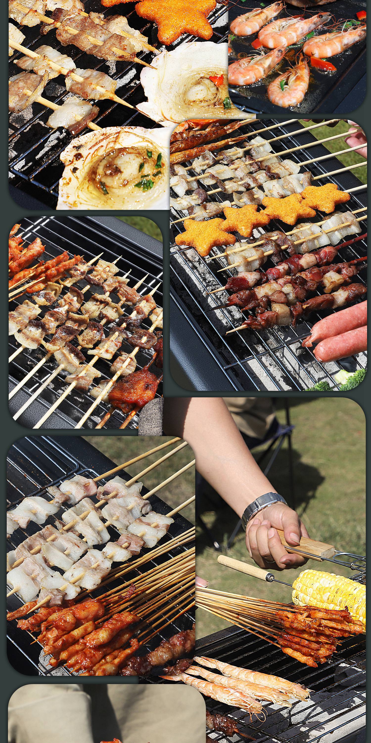 Multi-Functional Barbecue Grill| Outdoor Portable Stainless