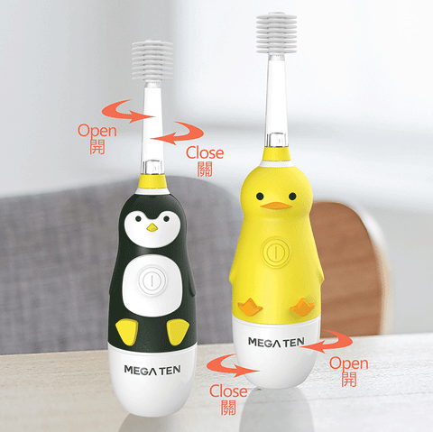 How to replace a Mega Ten refill brush head and battery