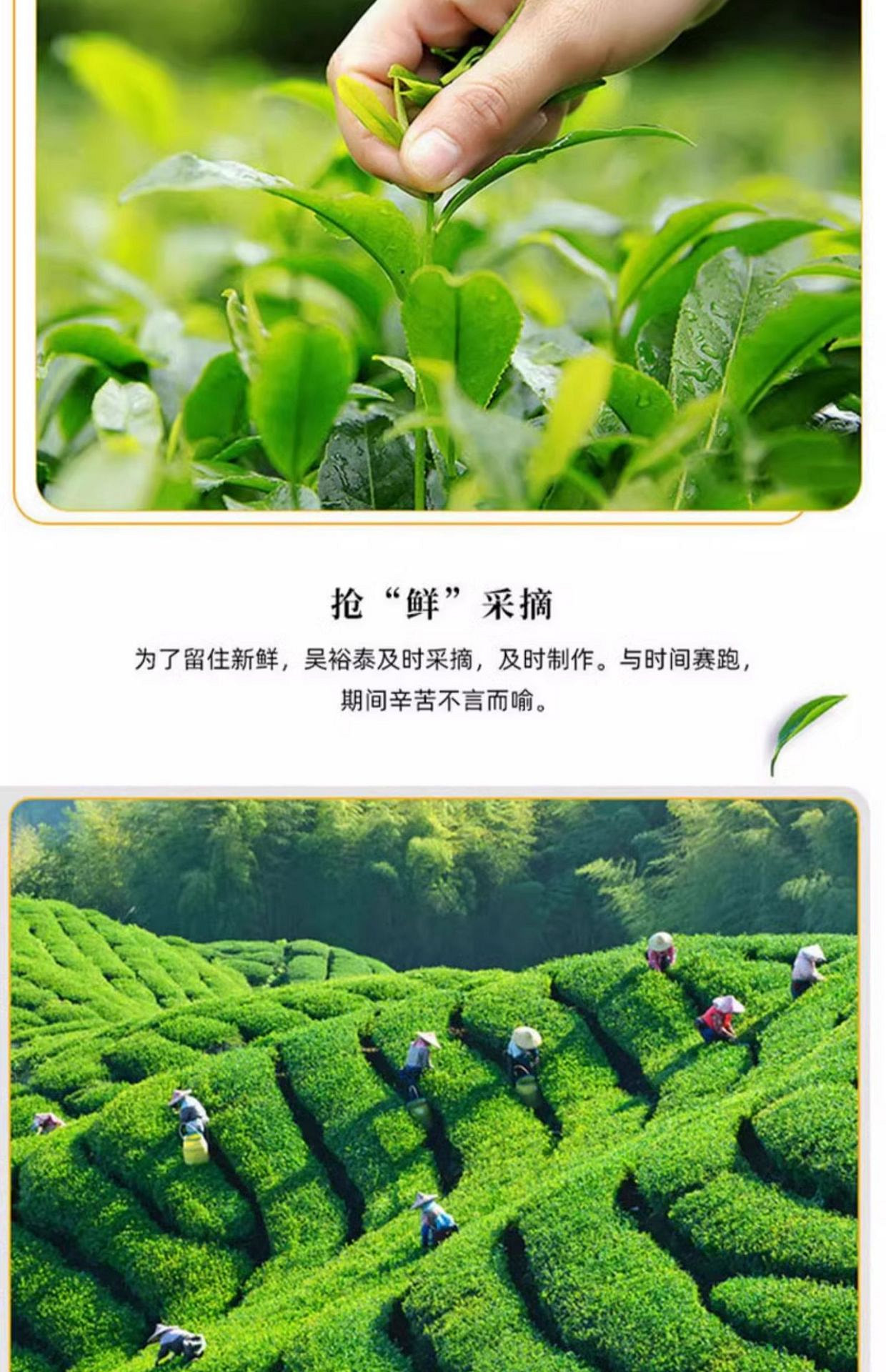 weee pdp description image 7619