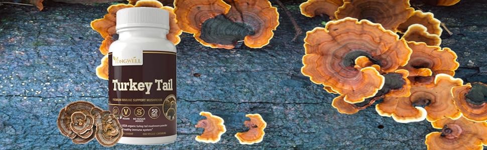 Turkey Tail (100 Capsules)