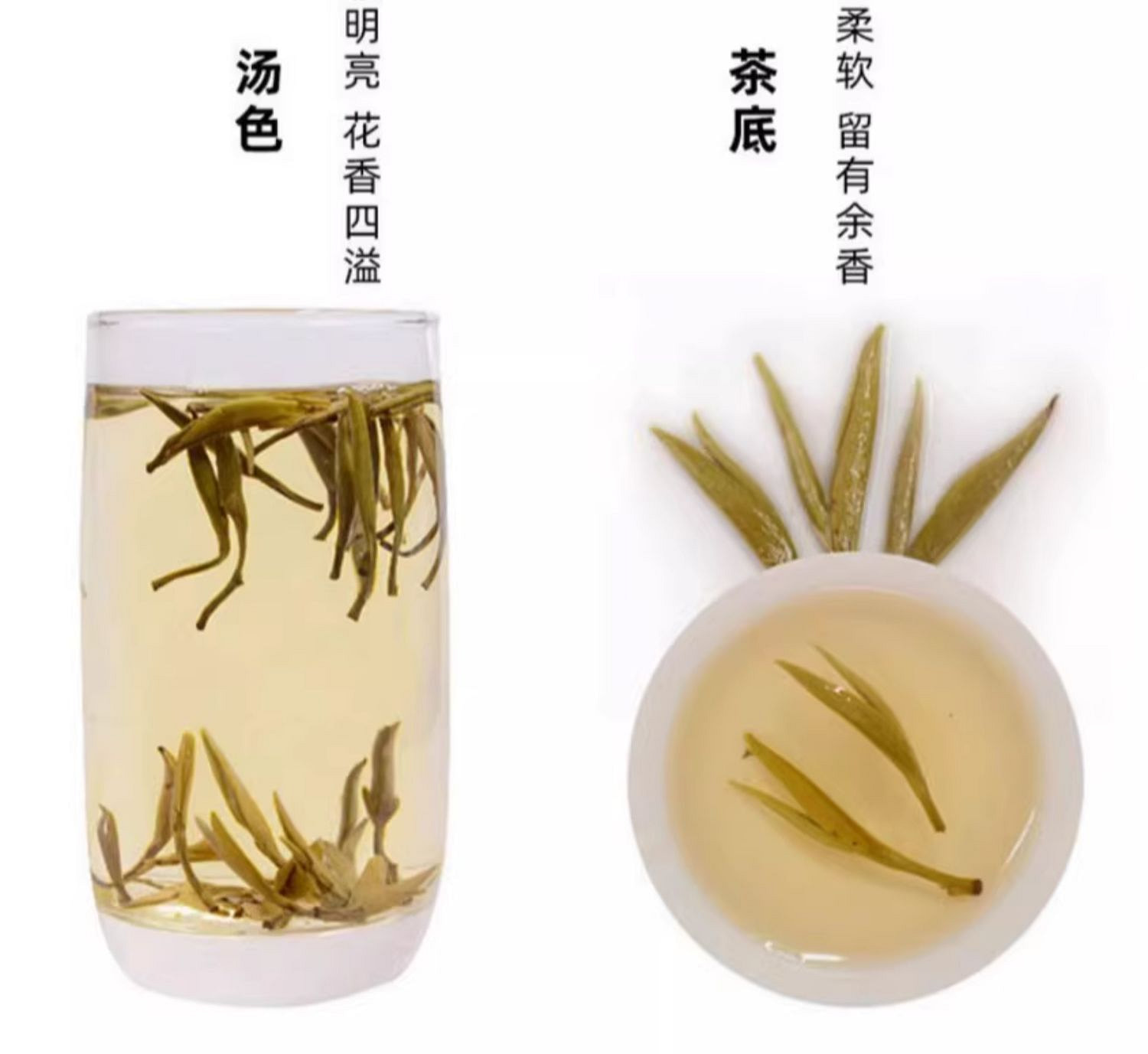 weee pdp description image 13891