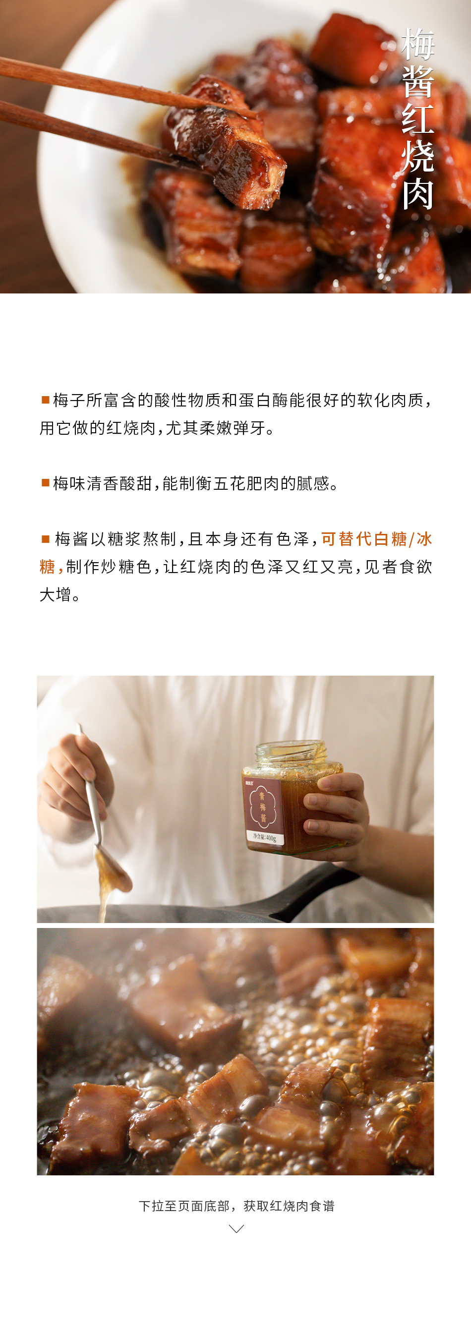 南食召【青梅酱 】酸甜带咸·纯梅熬制 梅子酸梅酱 烧鹅烤鸭叉烧蘸酱  400克