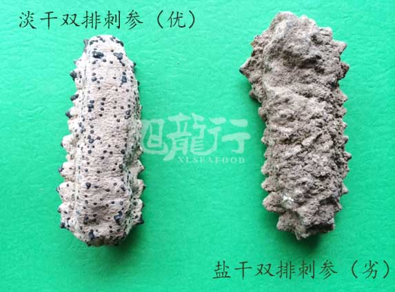 雙排刺蔘肥仔參