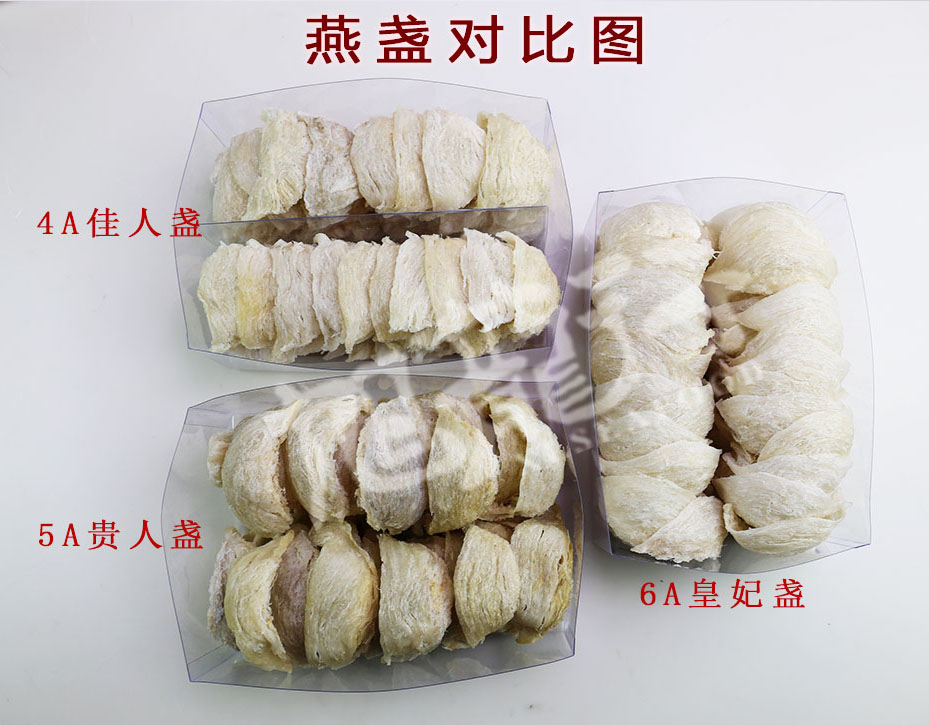 旭龙行燕窝燕盏对比俯览图