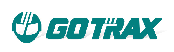 Gotrax Electric Bike