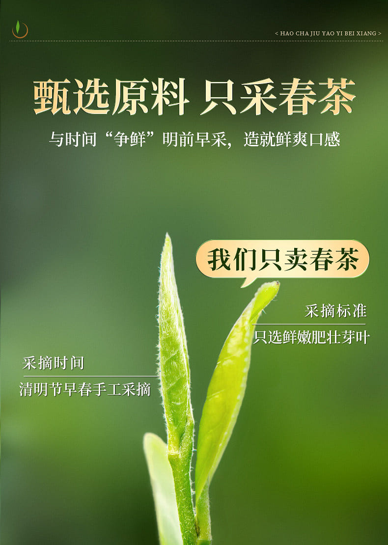 一杯香茶白茶明前安吉绿茶100g 1 份- Weee!