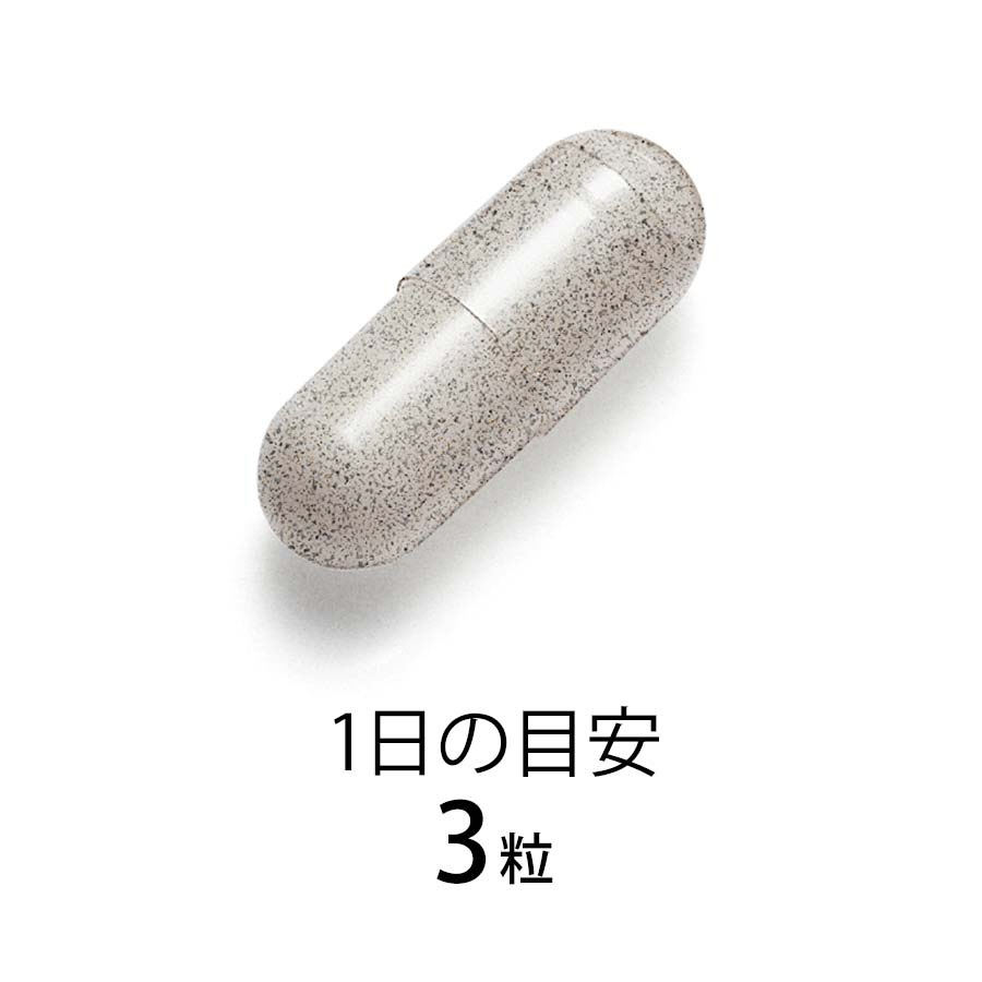 FANCL(ファンケル)内脂サポート 90日分(270粒)｜の通販はソフマップ[sofmap]