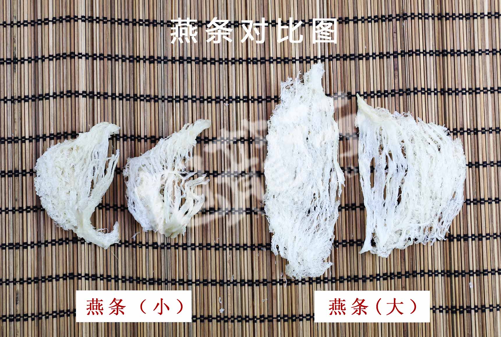 燕条对比