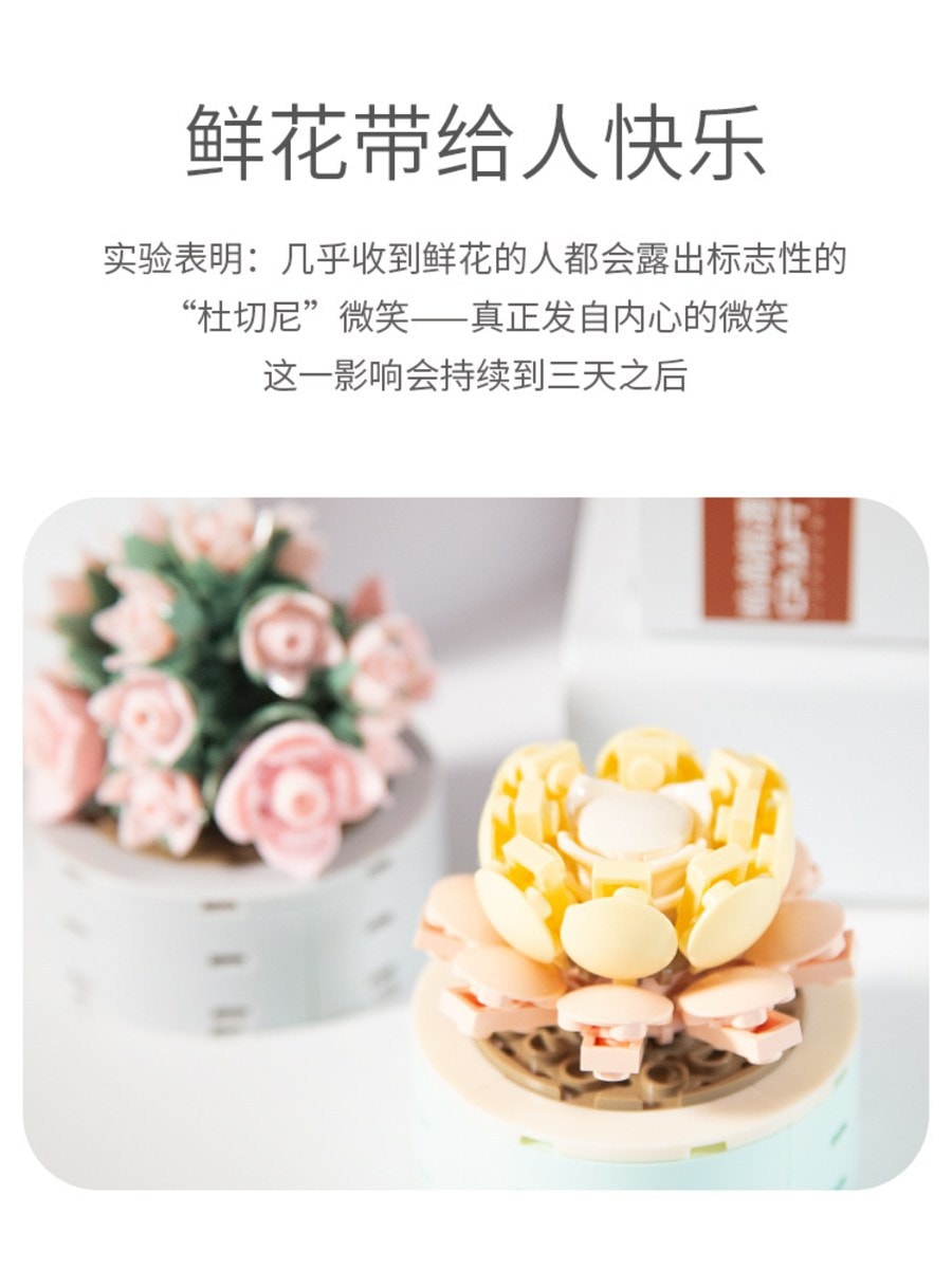 JAKI佳奇多肉積木 兒童拼裝小顆粒 仿真花束盆栽 創意擺件玩具模型 醉夢天使 1盒