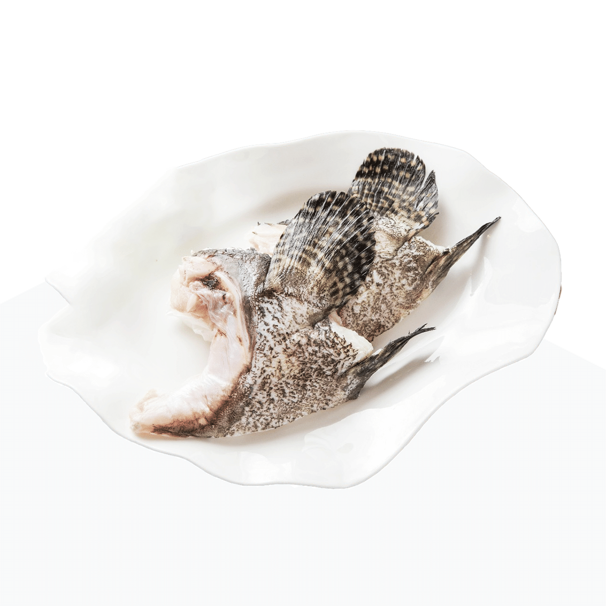Taiwan Fresh Dragon Tiger Grouper Fish Jaw 14 oz