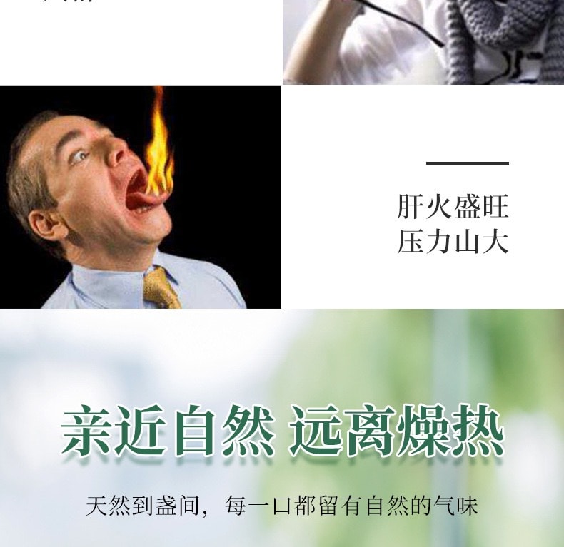 蘑菇风暴 养生茶系列【清肝明目】菊花决明子茶 30茶包 150克 保肝护肝 排毒养颜下火 熬夜喝酒肝火盛最佳 快速袋泡茶
