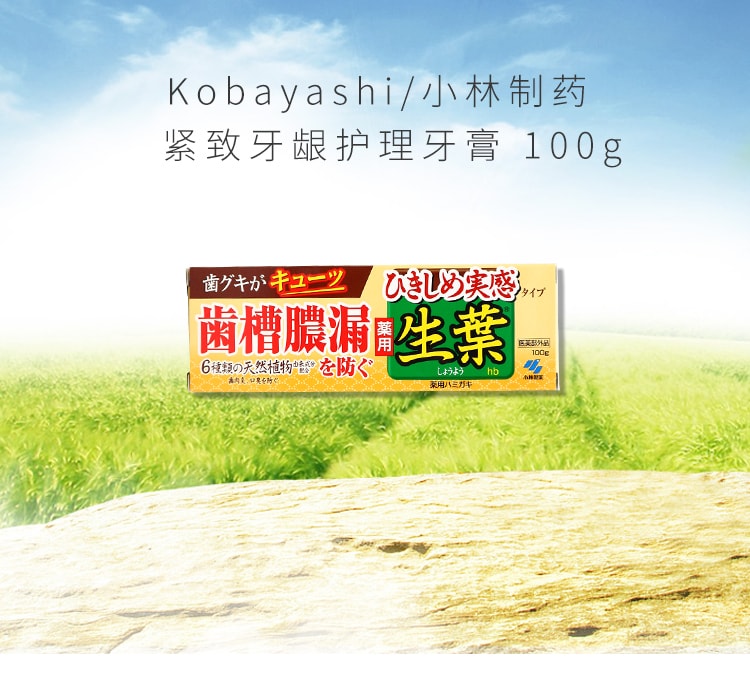 【日本直邮】日本KOBAYASHI 小林制药 生叶天然植物牙膏 有效防止牙周炎 清新口气 黄色装 - Weee!