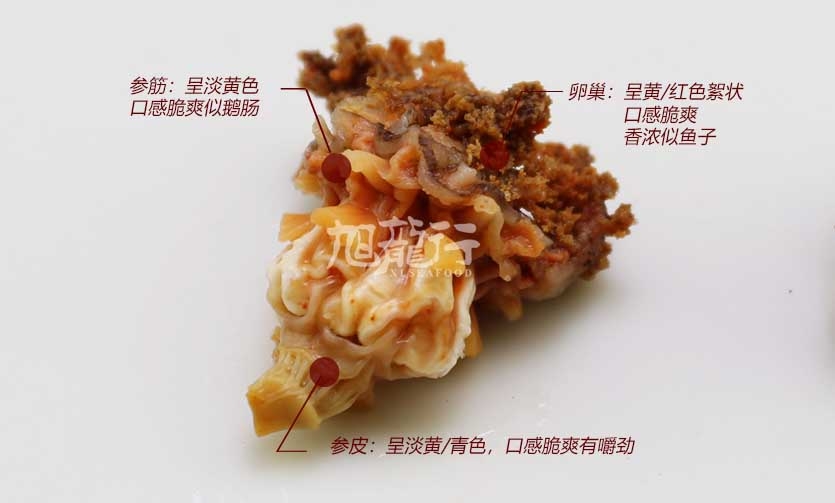 海参花