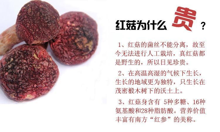 雲南美味山珍 【野生紅菇乾品】 2OZ裝