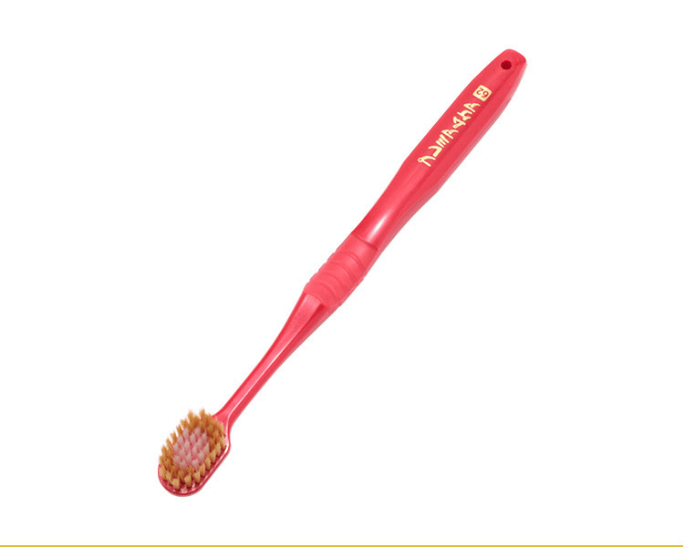 EBISU 惠百施||口腔护理6排牙刷||普通型 (颜色随机) 1支