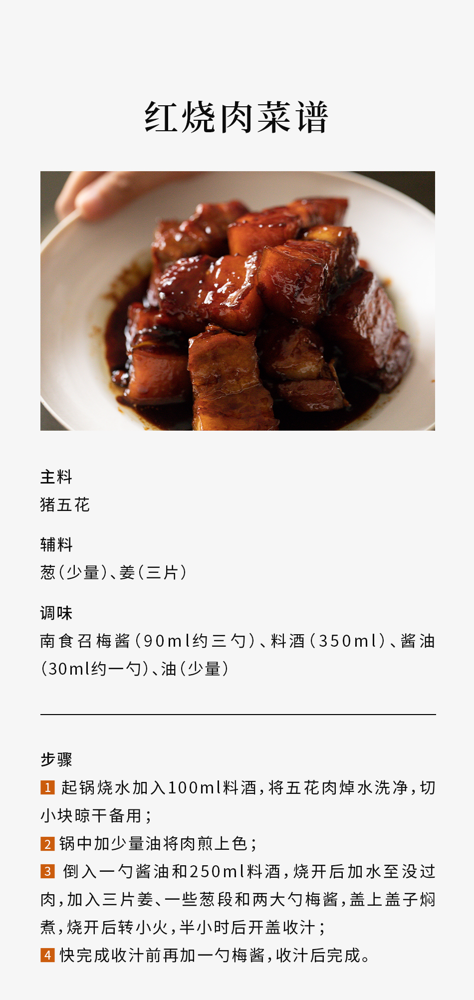 南食召【青梅酱 】酸甜带咸·纯梅熬制 梅子酸梅酱 烧鹅烤鸭叉烧蘸酱  400克