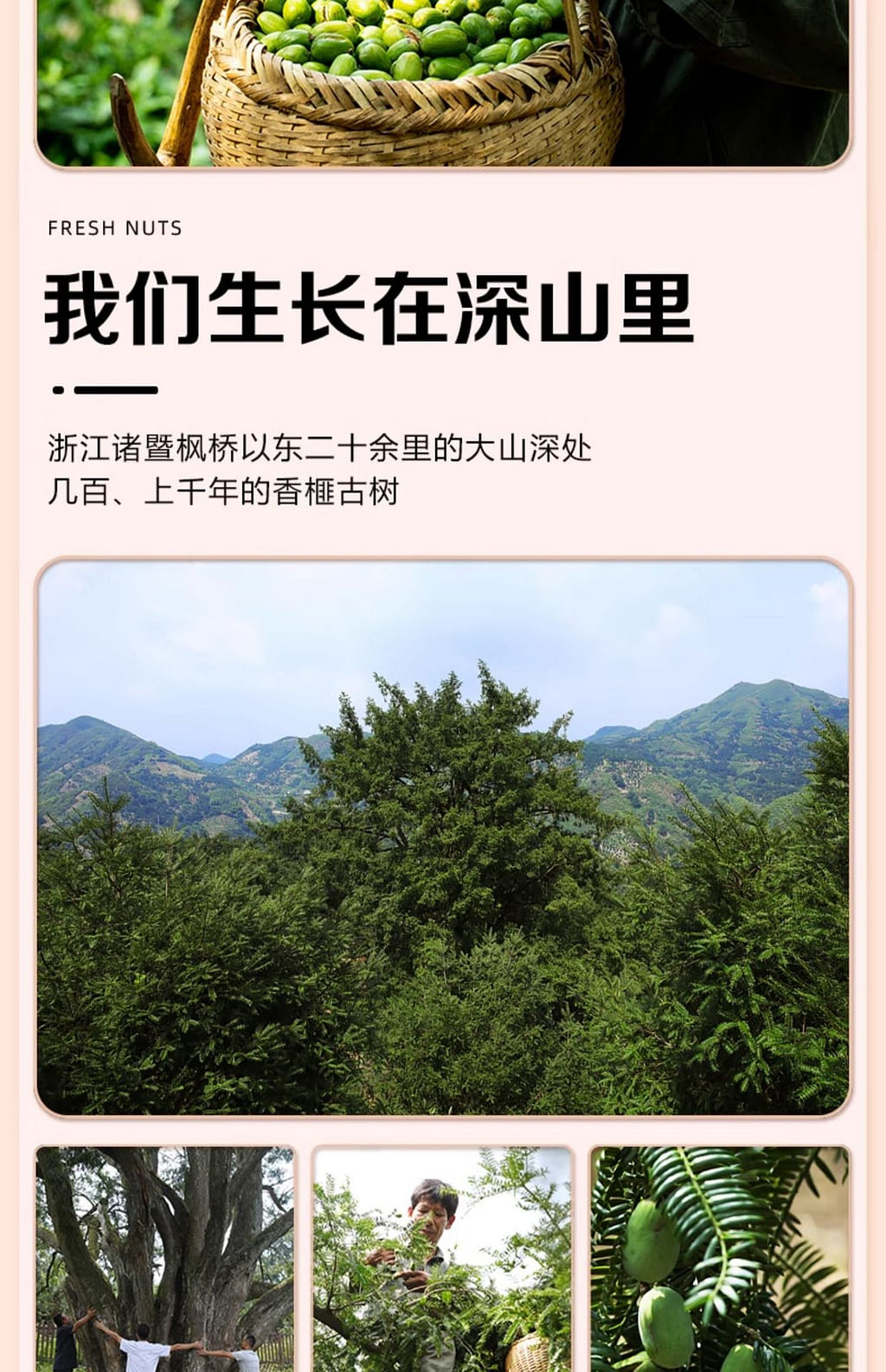 weee pdp description image 484