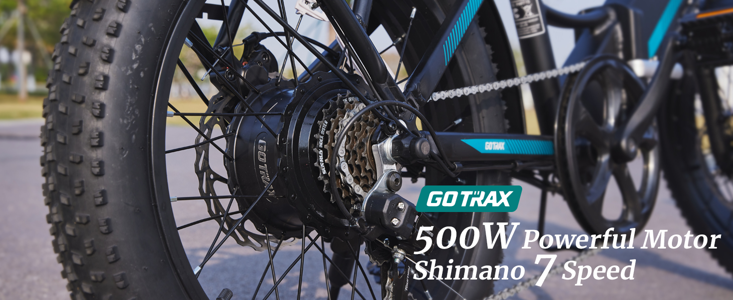 500W MOTOR