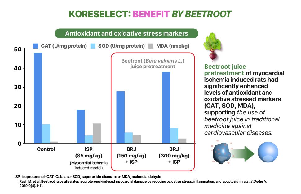 Beet Root Antioxidant Support Capsules With Vitamin E - KORESELECT