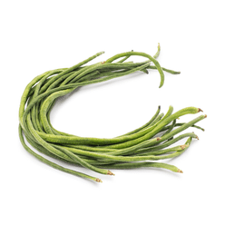 그린 롱 빈 1 파운드