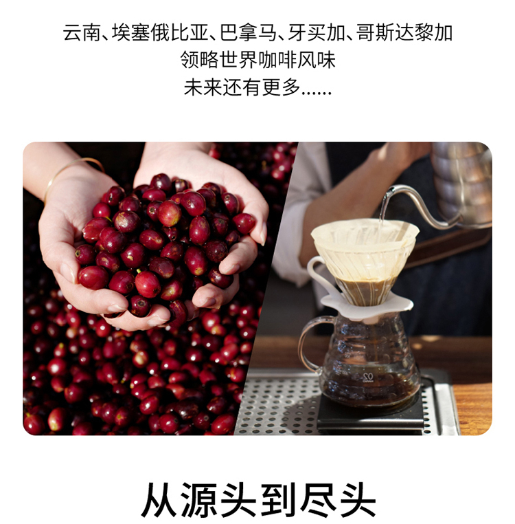 Seesaw Coffee Liquid 33ml * 6 strips with a mellow and