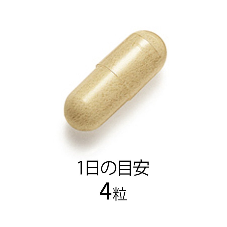 4908049449421 FANCL ファンケル 尿酸サポート 30日分 (120粒入) サプリメント – ココロコメドラッグ